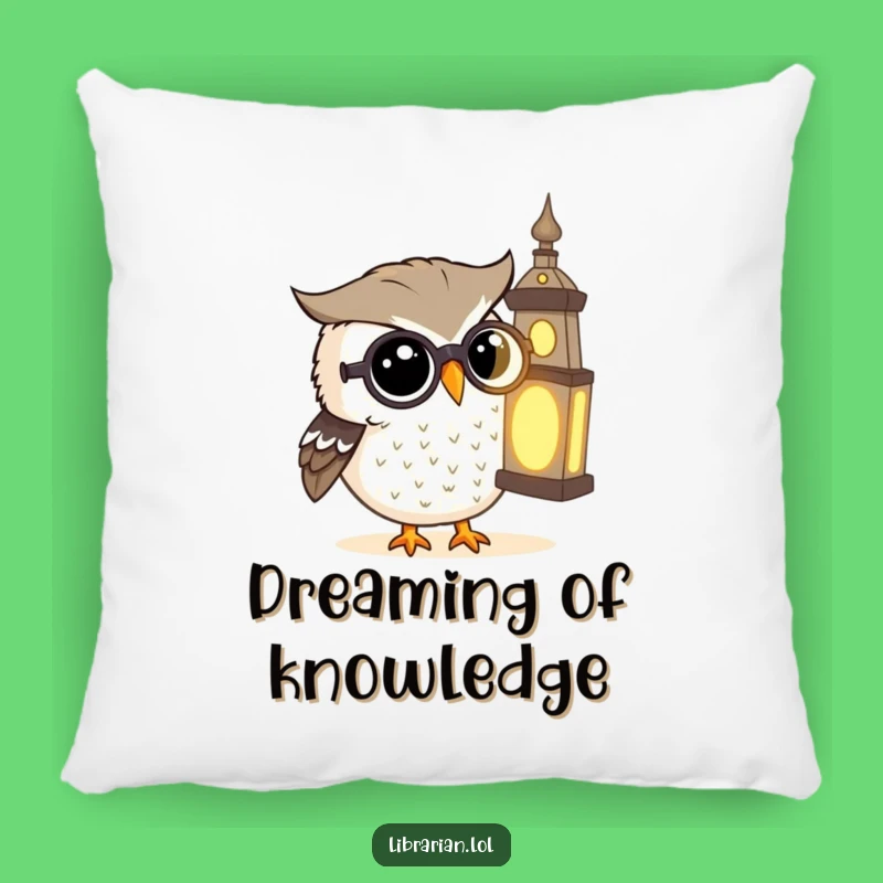 Funny Owl Book Pillow: Cozy Owl Peeks at Tome, Hilarious Reading Decor!